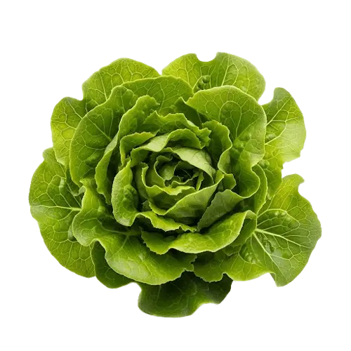 Cookout Menu With Price 2025 30 Lettuce